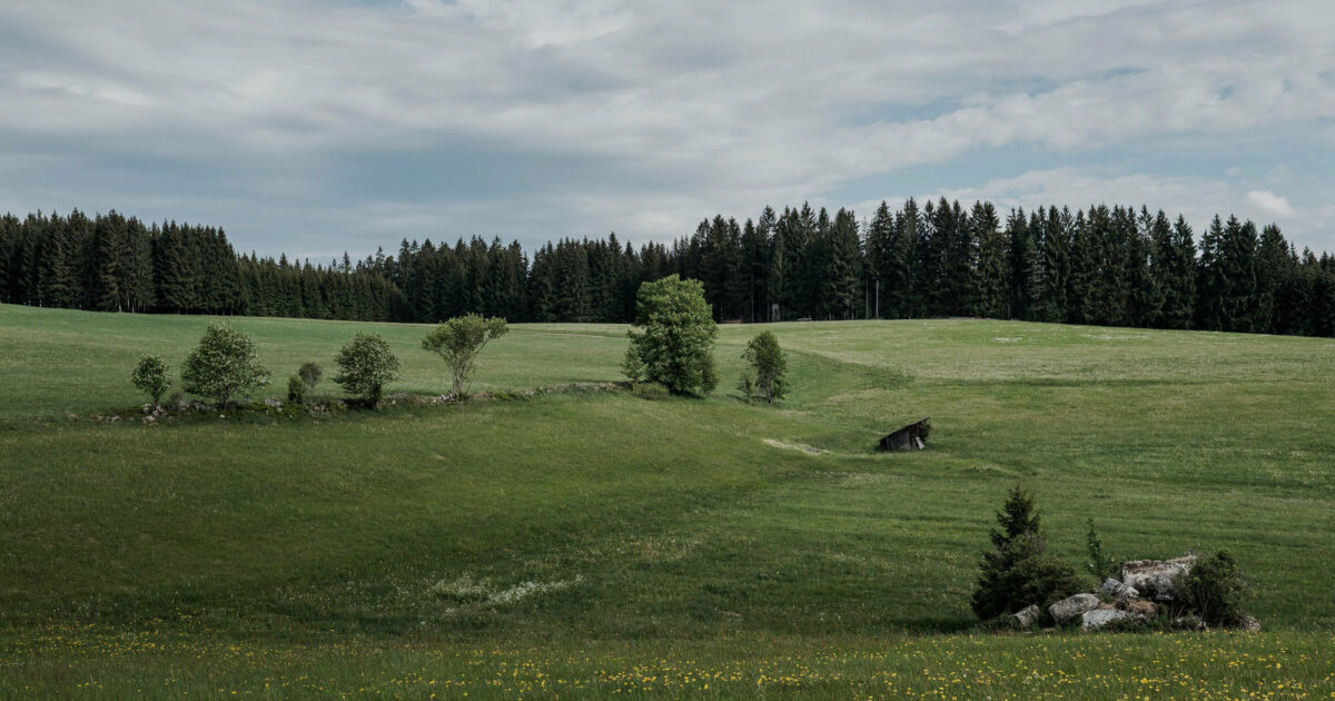 Honeder Naturbackstube