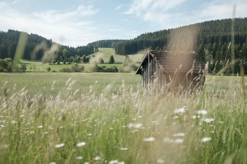 Muehlviertel Landschaft Quer 11