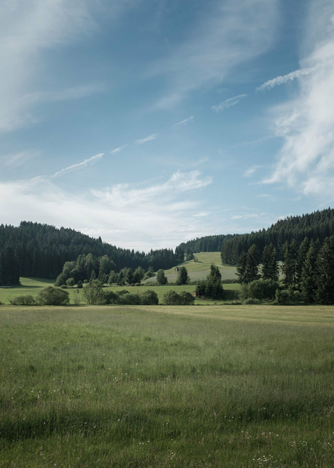 Muehlviertel Landschaft Hoch 12